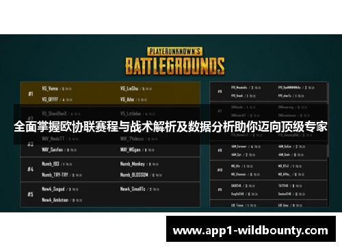 全面掌握欧协联赛程与战术解析及数据分析助你迈向顶级专家